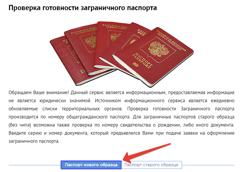 Проверка готовности загранпаспорта через сайт МВД РФ