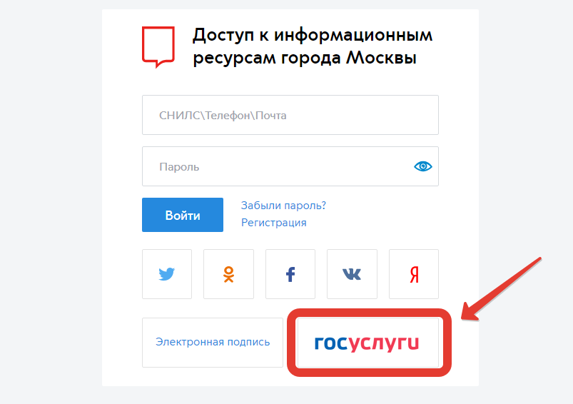 Запись в кружки и секции через сайт mos.ru